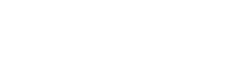 Firma DZmotors